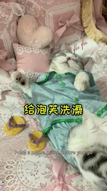 @dfhdhhd22