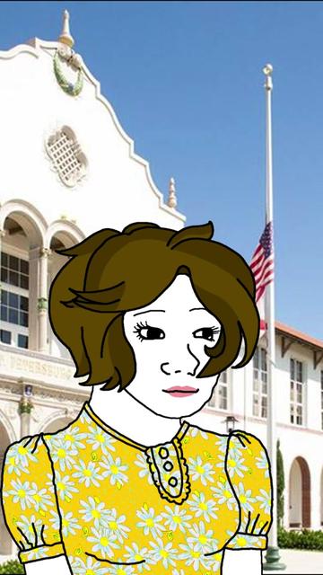 @Wojak Human Stories