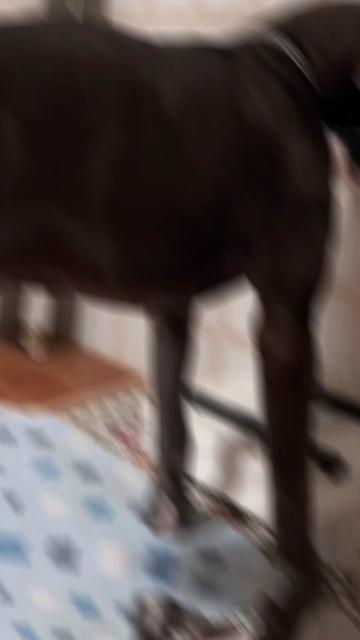 @FaunaFanatics