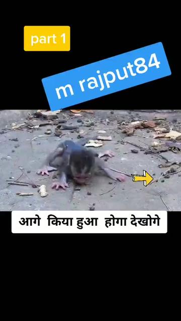 @Pawan Bidlan