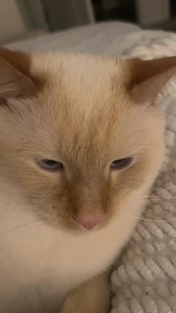 @zombers