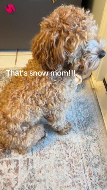 @rue_s_mom
