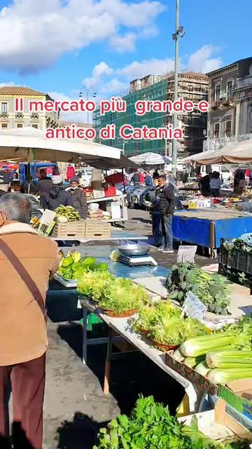 @Salvatore Roberto Tr