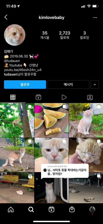 @친구를 만나느라 샤샤샤머호