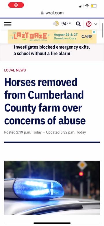 @Horselife