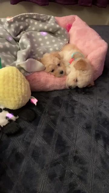 @wonder_mommawh29