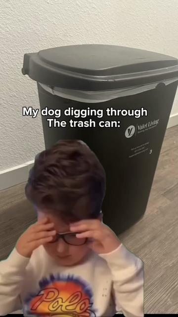 @tylerthek9trainer