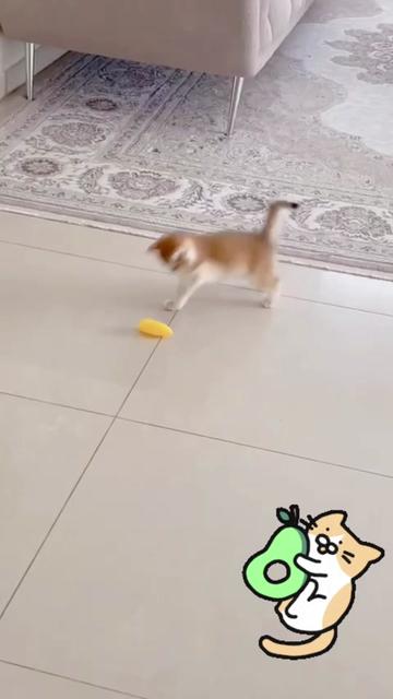 @هاملت
