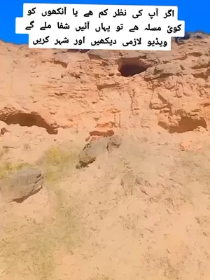 @سیدعامرشیرازی913