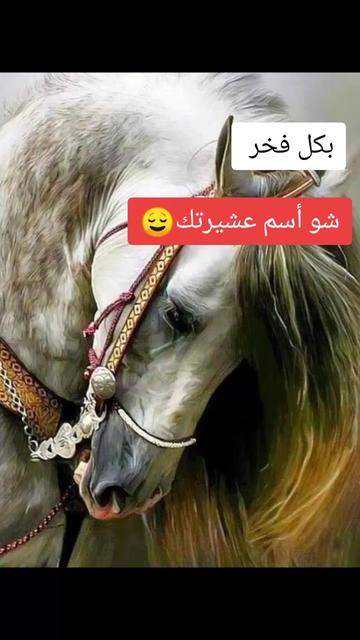 @ﷴ- 505-vpn