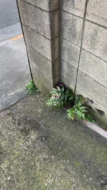 @株式会社 山惠