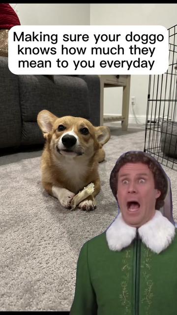 @CorgiMonty