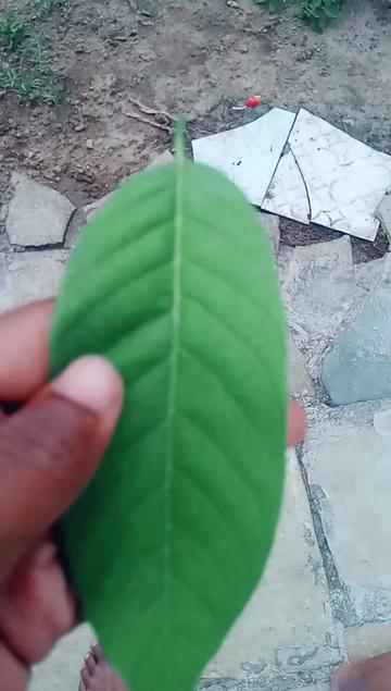 @sai mødél 143 $๐๐