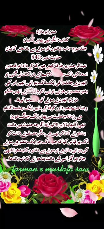 @Max Info