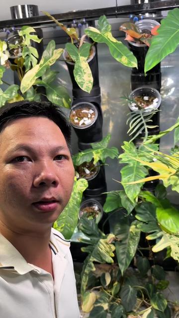 @Huy Kiểng Lá
