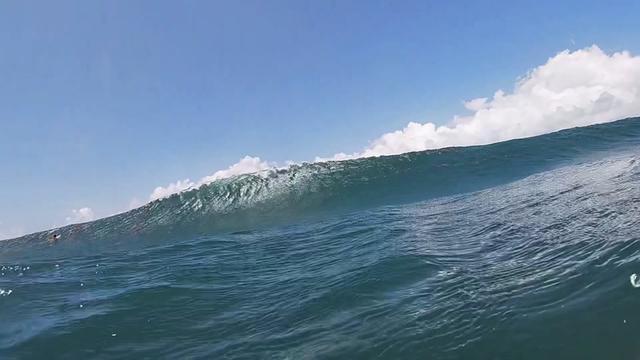@oscarcc_surfs