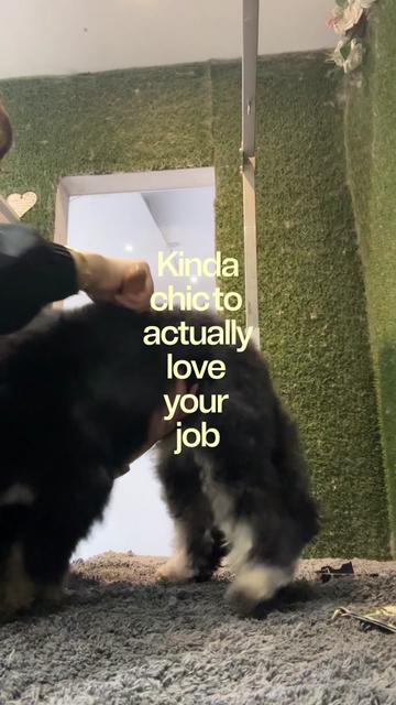 @DevenickDogs