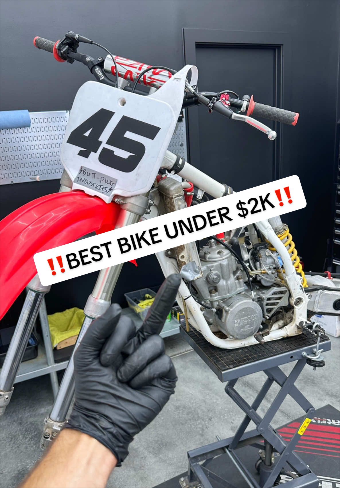 @mXrevival