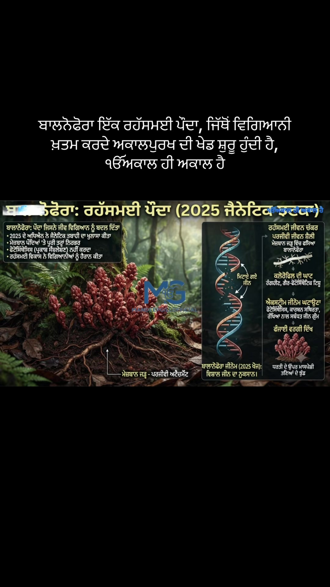 @Mandeep Singh Gill
