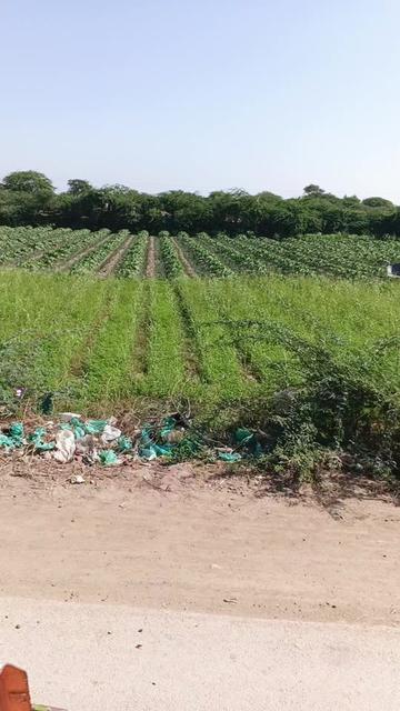 @Mukesh kumar kolhi