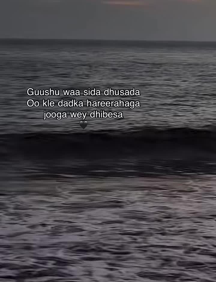 @ahmet