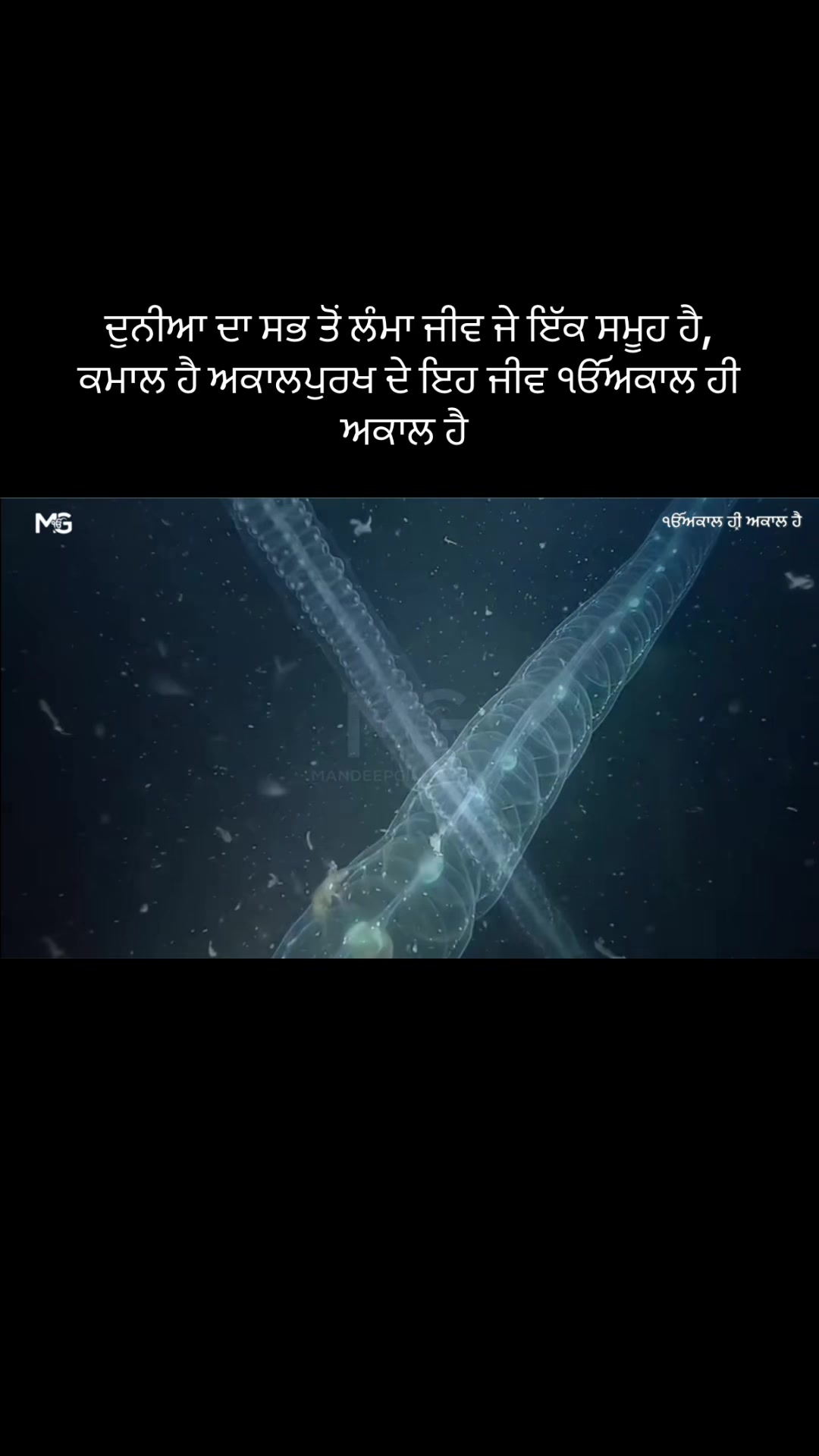 @Mandeep Singh Gill