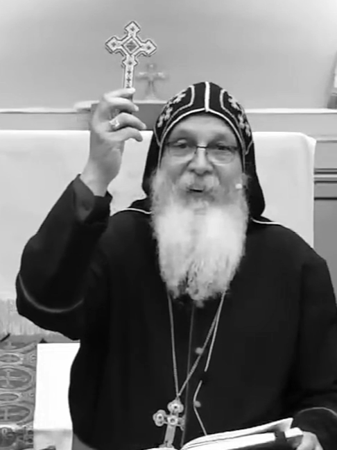@stephverr🇨🇦
