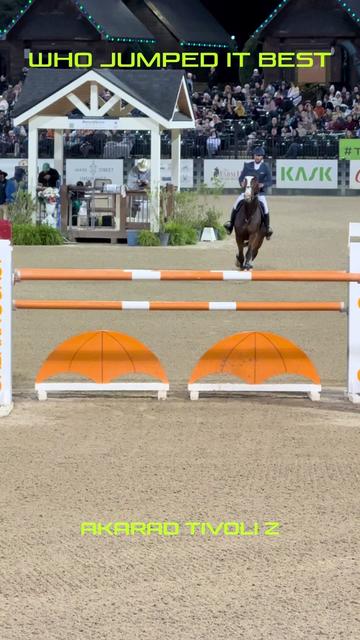 @Major League Show Jumping