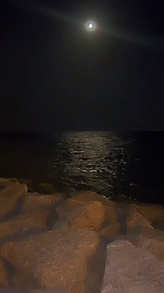 @monuttan