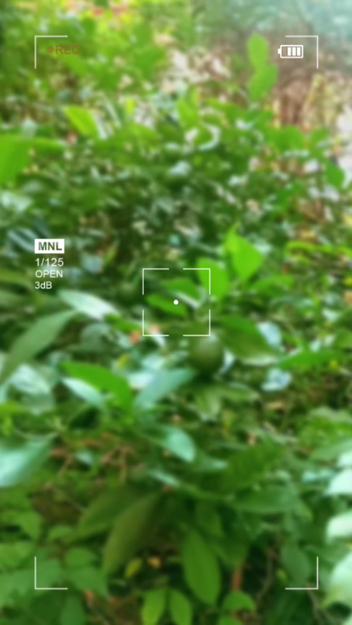 @꧁🇮🇩💫𝚁🍏𝙽💫🇸🇬꧂