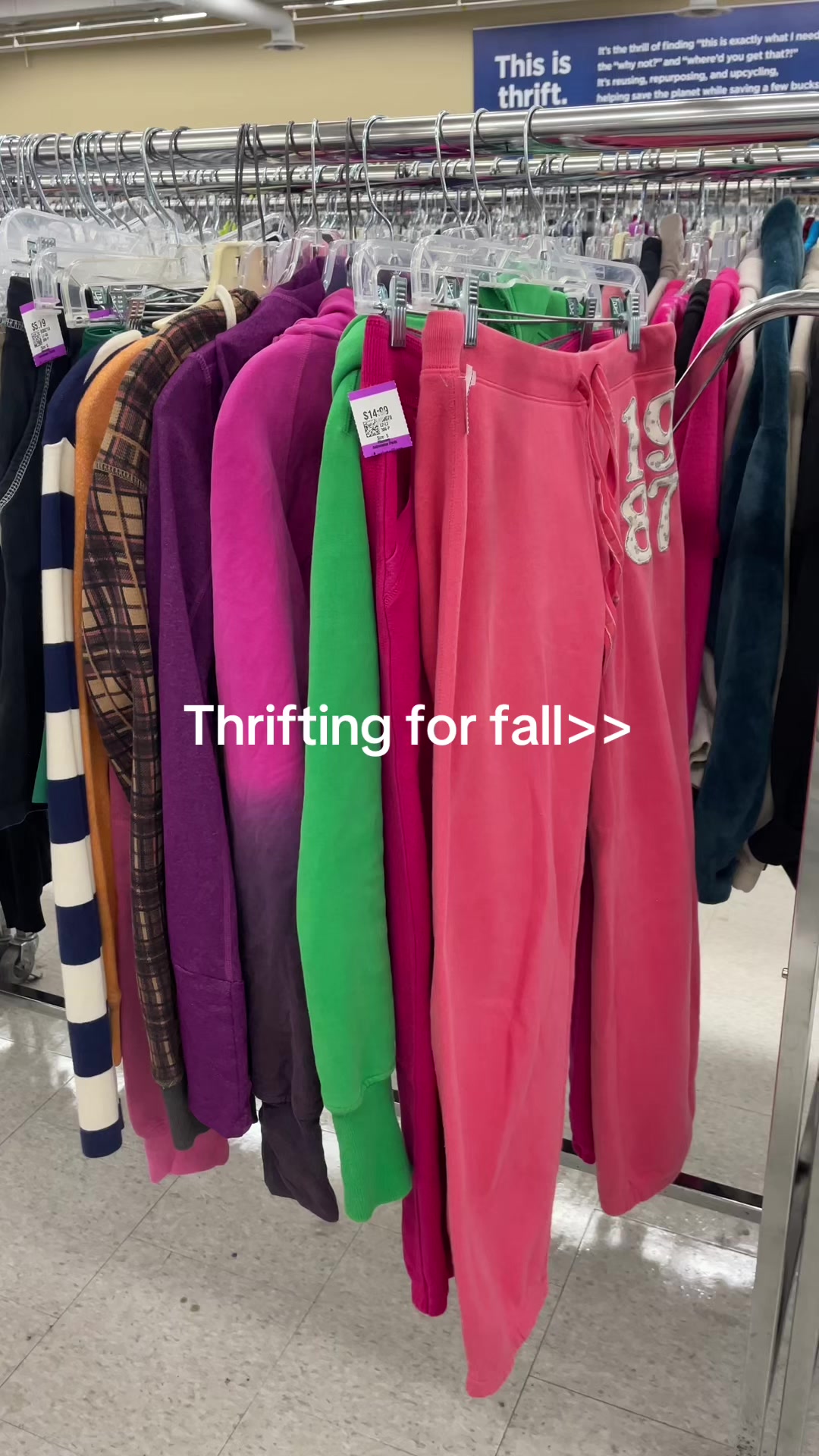 @Irene🩷