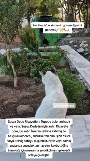 @HAYCAN MEDYA 🌐✔️