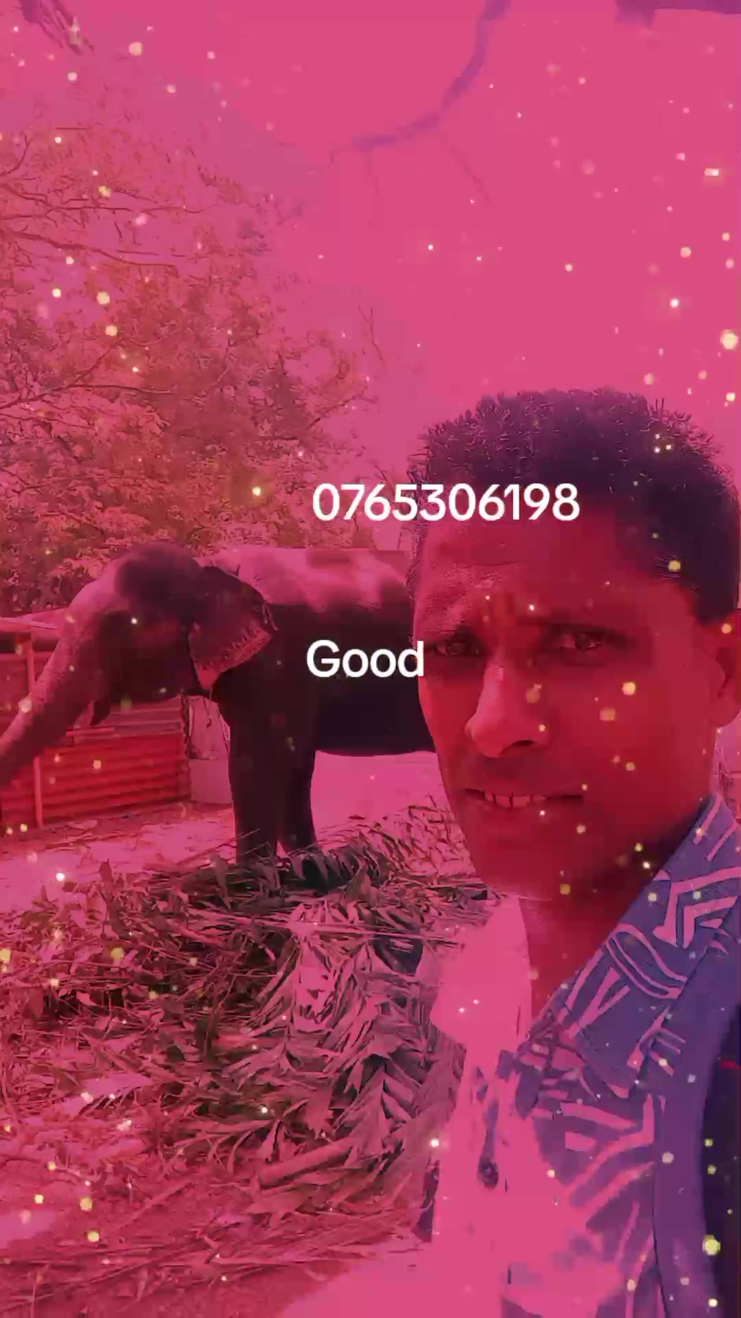@chandhana mahindha kumara