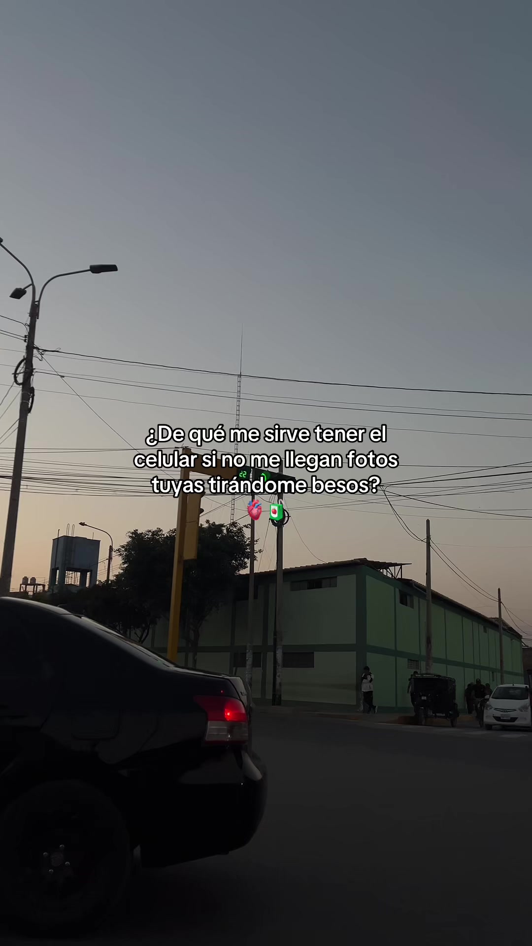 @Gatocix 🐱