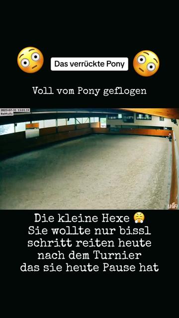 @Shanea & ihre Ponys ♥️🐴