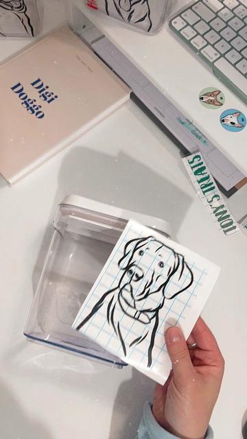 @Digi Doggo