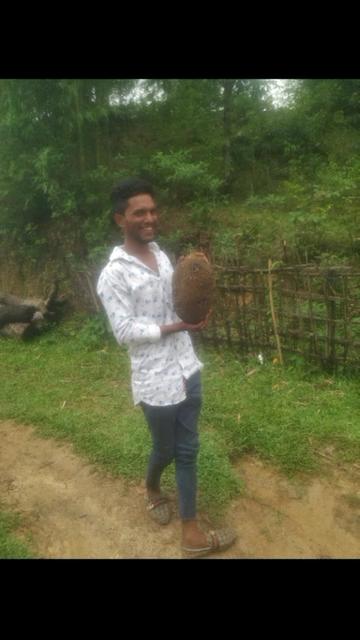 @Hussain Arman58