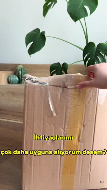 @Ekolojik Dünya