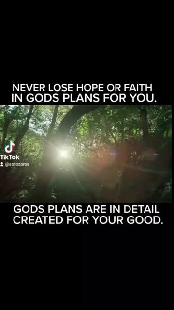 @Shiacollections