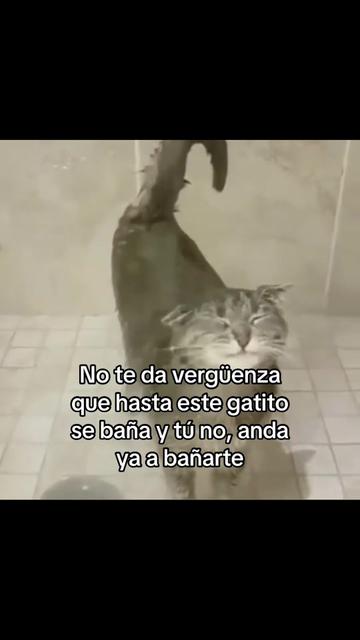 @saulburgosp