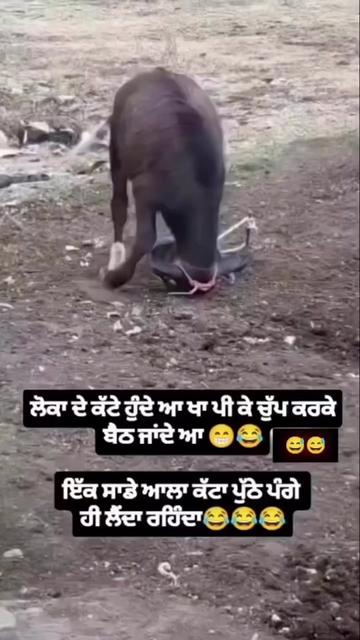 @ਮਿਨਹਾਸ ਰਾਜਪੂਤ