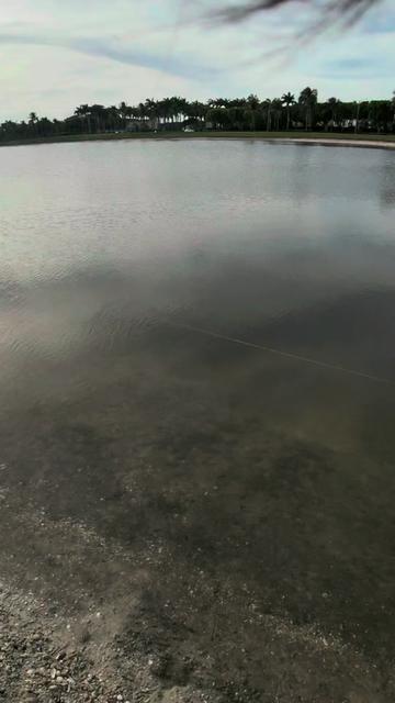 @Swimbait_noah