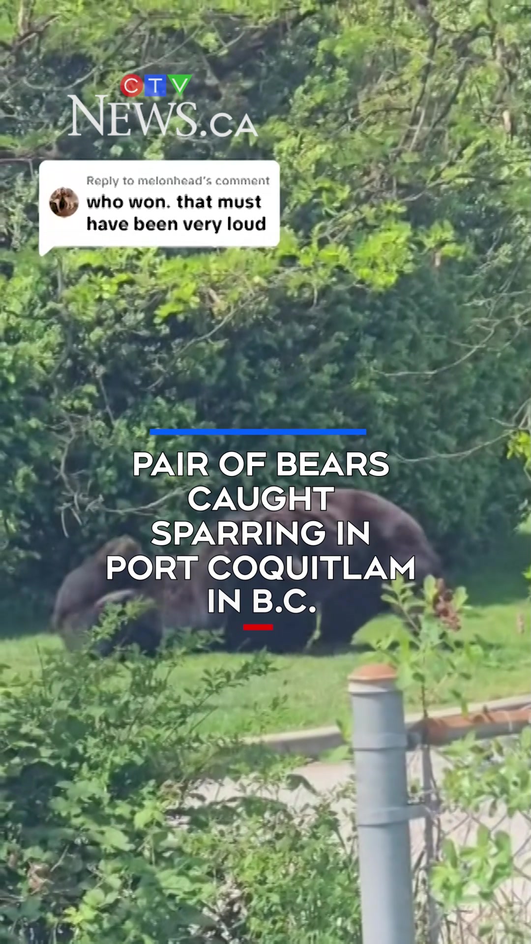 @CTVNews