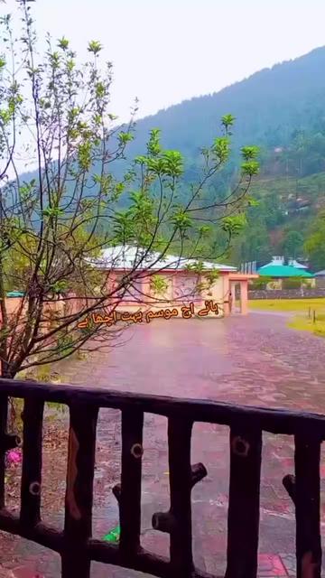 @it's kashmiri