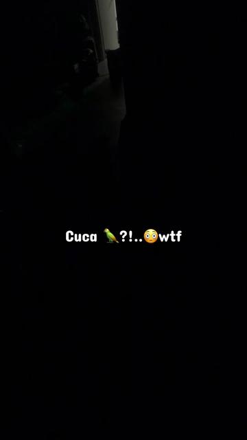@Ani👸