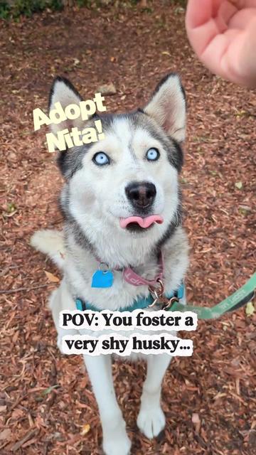 @Oakland Animal Services