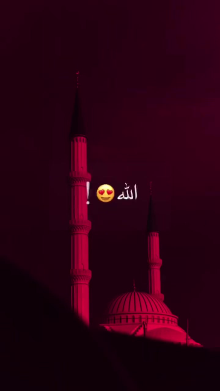 @Salma 🐍