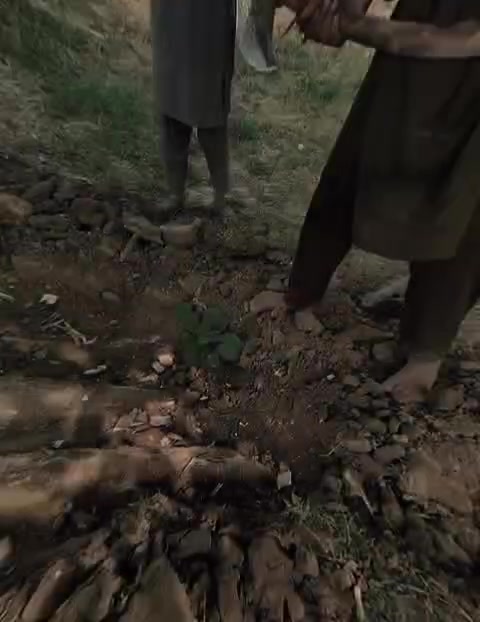 @nikka khokhar