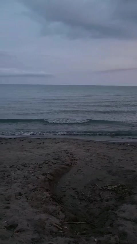 @ياسمين عتيق🍃🇨🇦