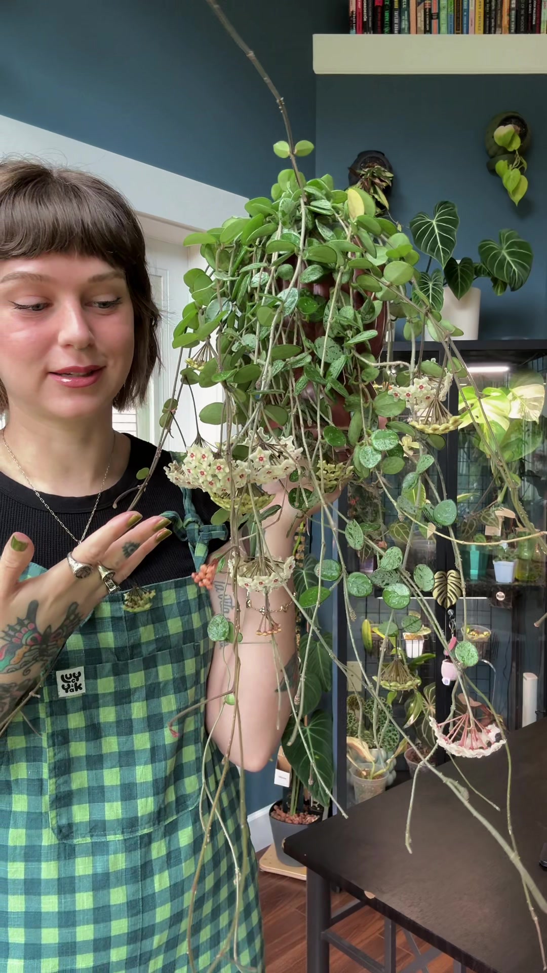 @wildfern